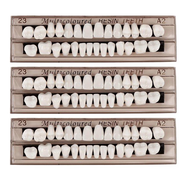 Künstliche Zähne, 3 Stück, künstliche Zähne, natürliche Zähne, Zähne, Zahnharz,