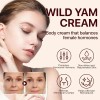 Crema Natural de Ñame Silvestre Elaimei para Rostro