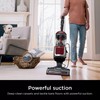 SHARK NV181 Navigator Swivel Pro Upright Vacuum with HEPA Filtration,