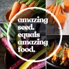 Yellow Carrot Garden Seeds - 1 g ~600 Seeds -