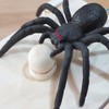 GIIOASA Fun Spider Money Surprise Box,Rubber Spider Prank Box,Handcrafted Spider