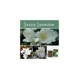 The Candle Cottage WM143 Large Wax Melts, 5 oz (Jazzy Jasmine)