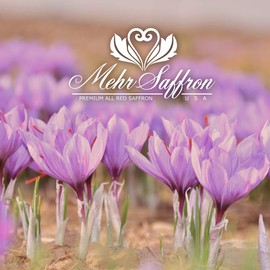 Mehr Saffron, Premium All Red Saffron / 1/2 Oz (14 Gram)