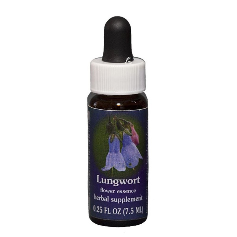 FES Flower Essences Range Of Light Quintessentials 7.5ml J to