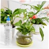 Outanaya Garden Sprinkler Flower Shape Nozzles Pcs Bottle Sprinkler Caps
