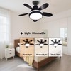 SPARKSOR Plug in Ceiling Fan Light with Remote Control Small