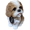 Vivid Arts - Real Life-like Shih-Tzu - XRL-SZ12-D