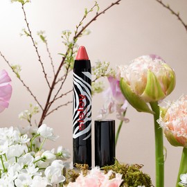 Sisley Phyto-Lip Twist Tinted Balm 2.5g (lipstick), 9. Chestnut / 시슬리 휘또-립 트위스트 틴티드 밤 2.5g (립스틱), 9.체스트넛