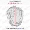 GRXASPLN62 Adult General Baseball Glove, 11.25 inches, For Softball, All
