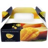 Kanazawa Kenroku Seika MP-6 Mango Pudding 6 Pieces 11.1 oz