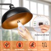 Brilvibera 2 Packs Remote Control Bulb Set, A19 LED Light