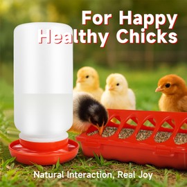 Each Cool Chick Feeder and Waterer Kit – Baby Chick Starter Kit with 3×12-Hole Feeders & 1 Waterer – Essential Baby Chick Supplies and Accessories for Coop, Brooder, Ducklings, Poultry