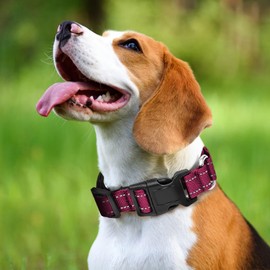Reflective Martingale Dog Collars. Dog Collar with Quick Release Buckle. Adjustable Soft Padded Breathable Nylon Pet Collar Suitable for Puppies for Small Medium Large Dogs.