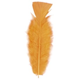Bag of Feathers Orange Accessory for 20s 30s Dancing Flapper Moll Fancy Dress