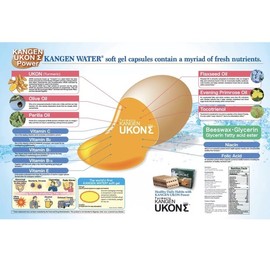 Enagic Organic Enagic Turmeric Supplement! Natural vegetarian multivitamin Exp. 08/2026