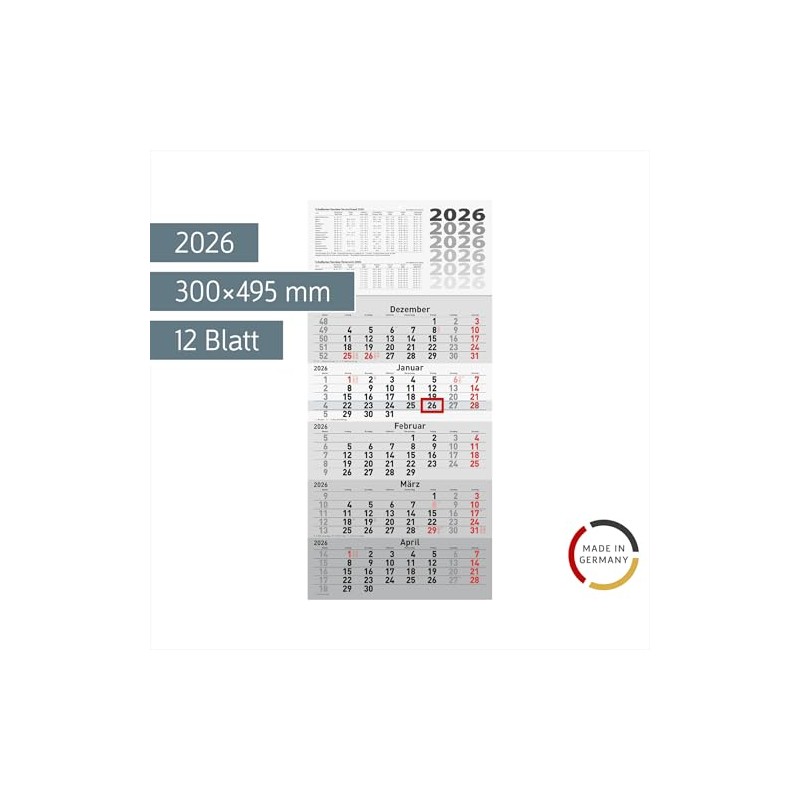 rido/idé 5-Month Calendar 2026, Grey, 300 x 630 mm