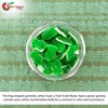 NY Spice Shop Gummy Frog Candy - 3 Pound Edible