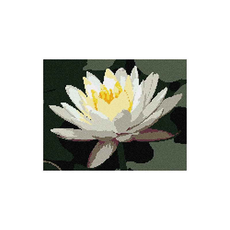 Pepita Needlepoint Canvas: Water Lily, 12" x 9"