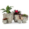 Abbott Collection 27-BACI-042 Mini Kissing Face Planter, Grey