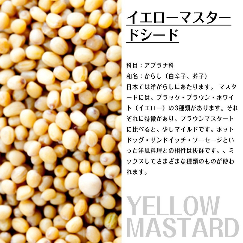Kobe Spice, Yellow Mustard Seeds, Made in India, 3.5 oz