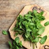 Outsidepride Spearmint - 10000 Seeds