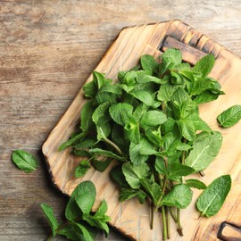 Outsidepride Spearmint - 10000 Seeds