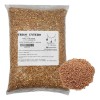 Trigo 1 Kilo Grano Semilla Wheat Grass Integral Wheatgrass