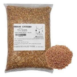 Trigo 1 Kilo Grano Semilla Wheat Grass Integral Wheatgrass