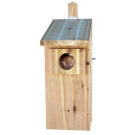 Stovall 6H Screech Owl Box