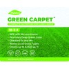 Green Carpet Lawn Liquid Fertilizer with Balanced NPK 18-3-4 with