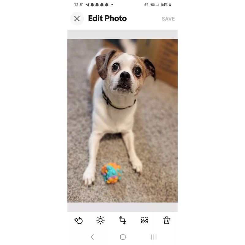 Kobalt 10 Pc Spiral Screw Extractor & Drill Set with