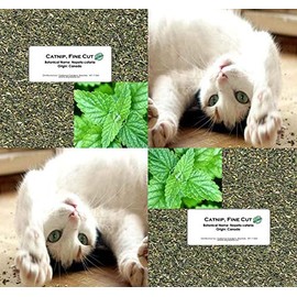 Bulk Catnip - Fine Cut Catnip Nepeta cataria - For CAT KITTY KITTEN CHEW TOY or mix with treat - By Oakland Gardens (Fine Cut - 1 LB)