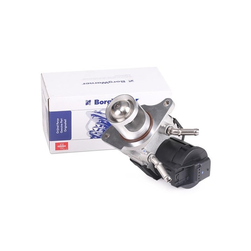 Borgwarner (Wahler) 710327D/1 EGR Valve