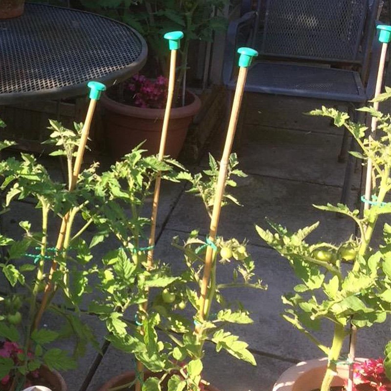 Cane Caps 30 Pcs Green Rubber Garden Bamboo Cane Topper