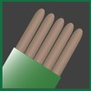 PIC CIT STK Citronella Sticks, green