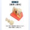 ideamall Implant Model Teeth Course Practice Model Educational Compact