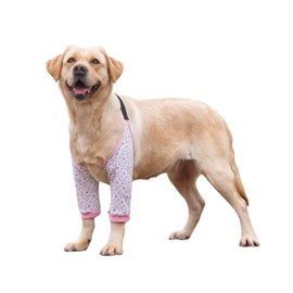 Harikaji Dog Elbow Protector, Elbow Sleeves with Mesh Pad for Medium Large Dogs Prevent Licking Wound(Pink Flower,L)