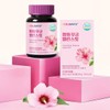 홀리데이즈 평화무궁 밸런스핏 60정 3병 6개월분 Holidays Peaceful Eternal Balance