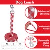 EXPAWLORER Cute Dog Harness Collar Leash Set - Red Girl