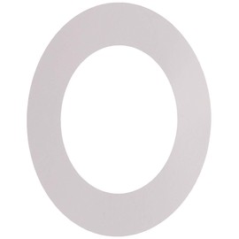 Iwata (岩田 Edison) simuringu (Sus) 10x16x0.01 mm (10 Piece) rs010016001 