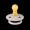 Bibs Round Natural Dummy Pacifier - Urban Garden - Bumblebee
