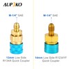 Aupoko AC Oil Injector Kit, R134A Oil Injector with R1234YF