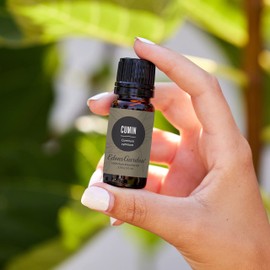 Edens Garden Cumin Essential Oil, 100% Pure Therapeutic Grade (Undiluted Natural/Homeopathic Aromatherapy Scented Essential Oil Singles) 10 ml
