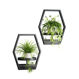 Dazioter Wall Plant Holde，Metal Hanging Planters， Plant Stand Indoor Hanger for Flower Pot Geometry Decor Shelf and Plant Storage (Pot Not Included) (Black, 2Pack)