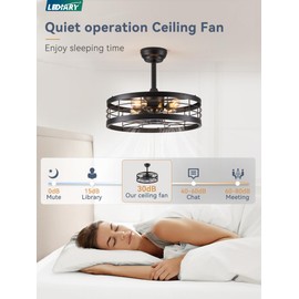 LEDIARY 20 inch Fandelier Caged Ceiling Fan with Light, Bladeless Ceiling Fan with Remote, Farmhouse Fan Lights Ceiling Fixtures for Kitchen, Bedroom, Outdoor(6 Speed, Timing)-Black