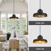 ALAISLYC 12 Inch Black Pendant Light Fixture,Farmhouse Hanging Lamp Adjustable