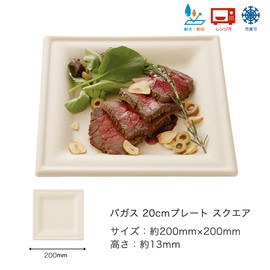 ECO&BASIC Bagasse Plate Square 20cm