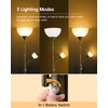 BoostArea Floor Lamps for Living Room, Standing Lamp, 71" Torchiere