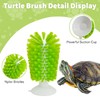 PINVNBY 6 Pack Turtle Brush Turtle Scratches Back Brush with