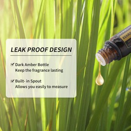 GREENSLEEVES Lemongrass Essential Oil for Diffuser, 100% Pure Organic Lemongrass Aromatherapy Oil for Humidifiers, Perfume, Soap Making - 0.33 Fl Oz
